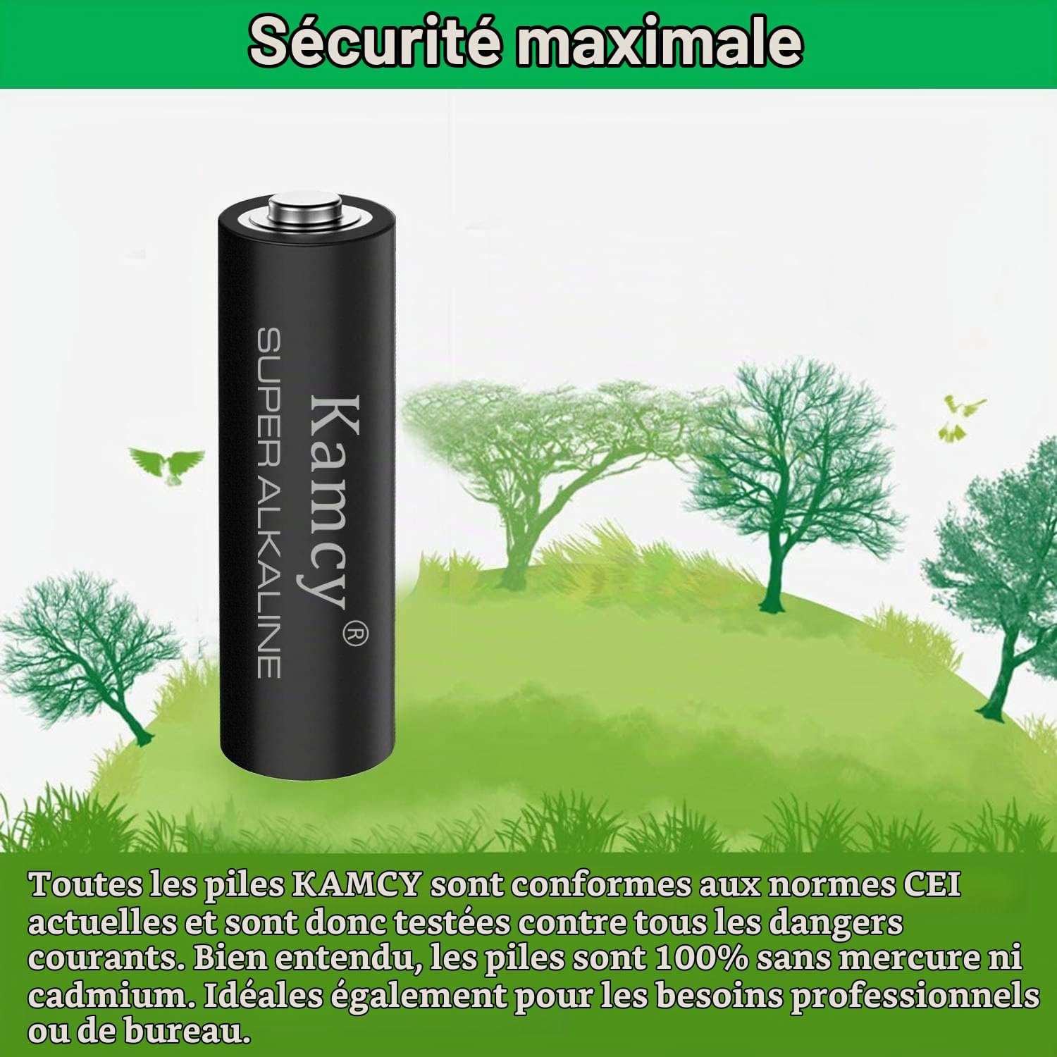 KAMCY LR6 piles AA alcalines lot de 12 1,5V longue durée