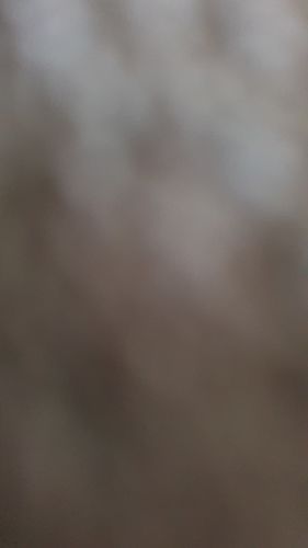 Arduino Nicla Sense ME carte capteurs Bosch AI